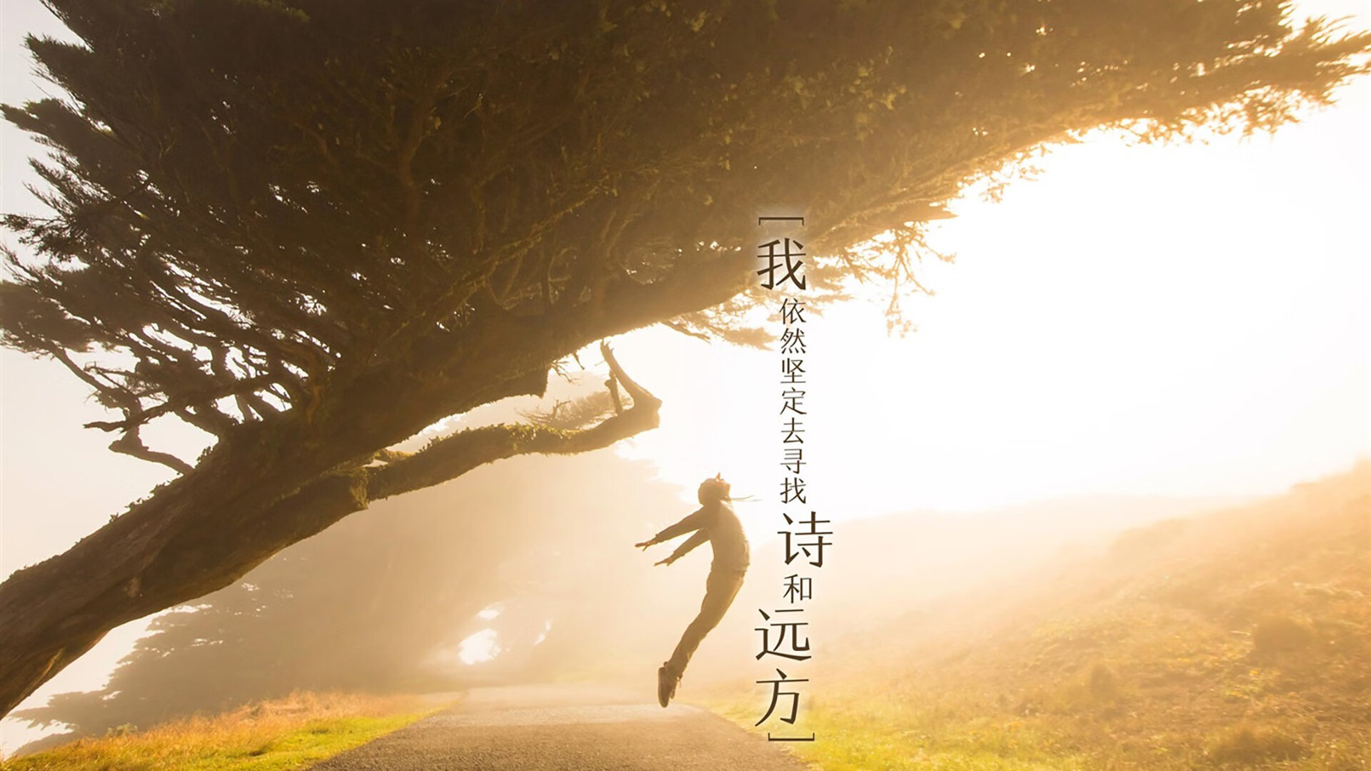无线通信行业龙头股票（无线通信模块龙头股）